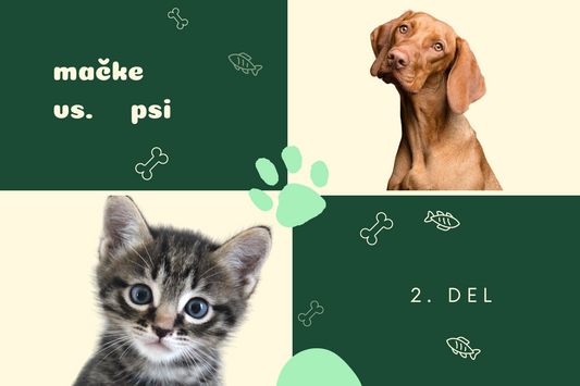 Mačke vs. psi: Razprava, v kateri nihče ne more zmagati. 2. DEL